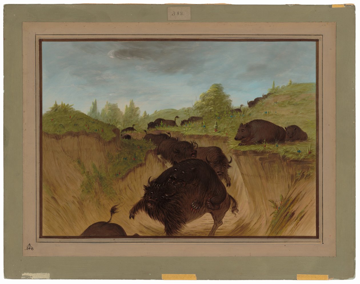 Orsi grizzly che attaccano un bufalo da George Catlin