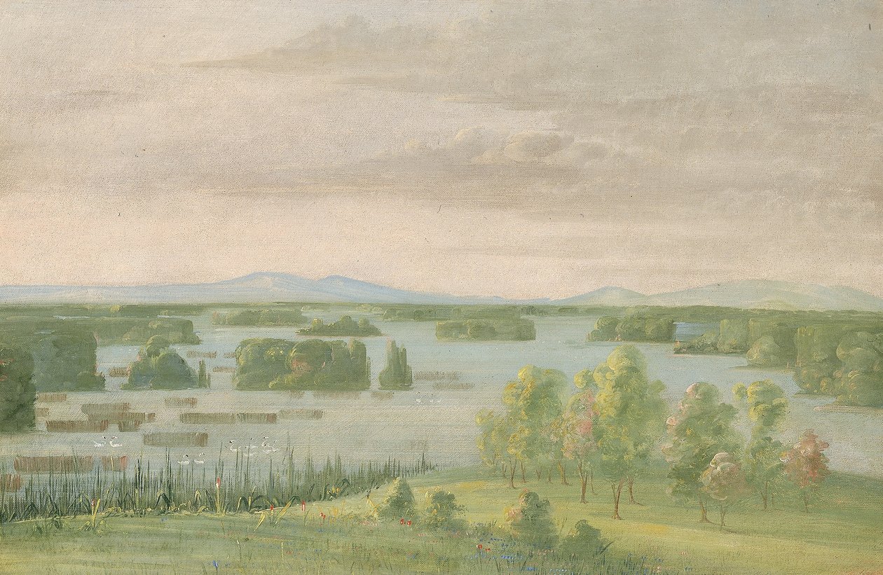 Lac du Cygne (Lago dei Cigni), vicino al Coteau des Prairies da George Catlin