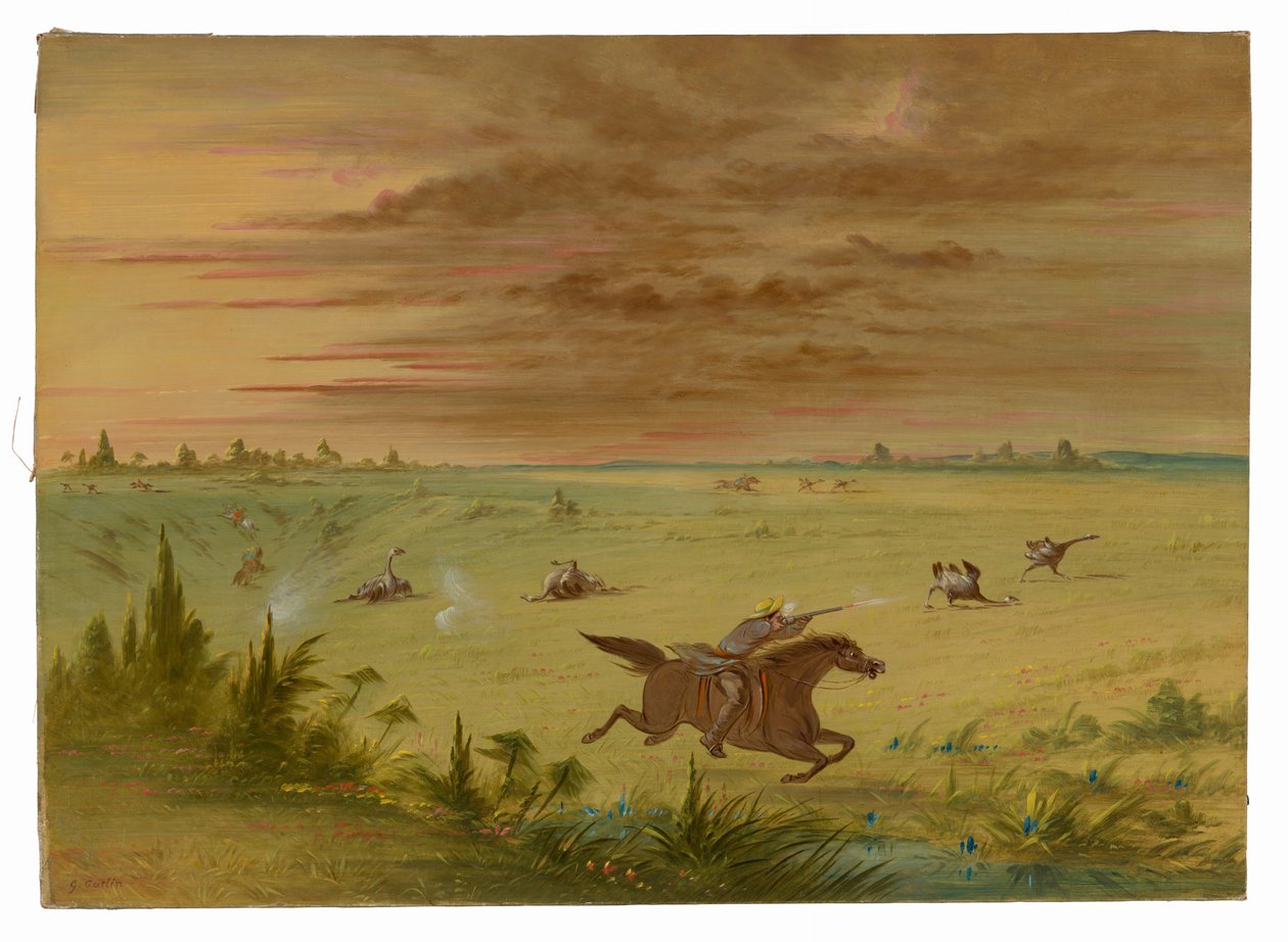 Inseguimento dello struzzo, Buenos Aires - Auca da George Catlin