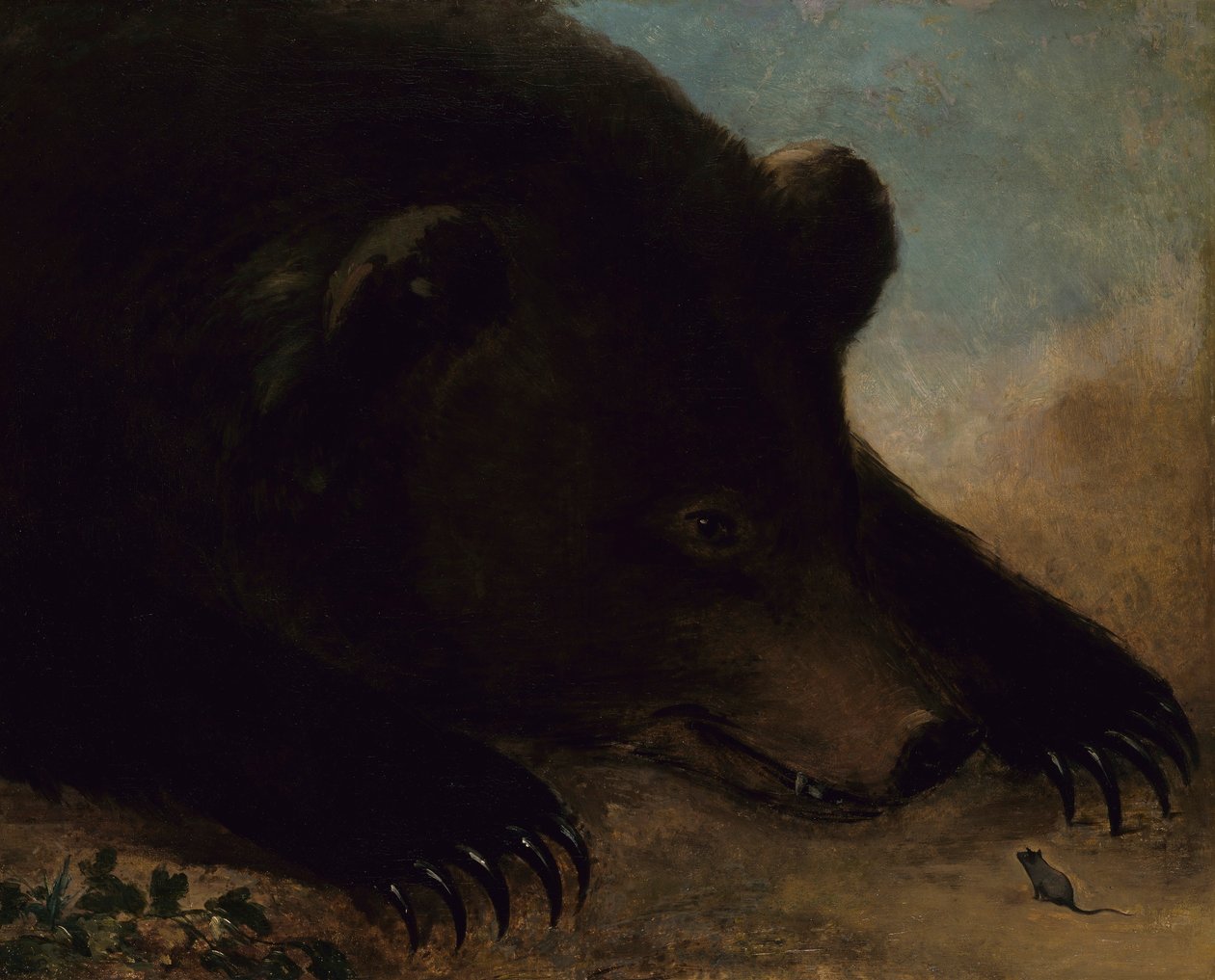Ritratti di un orso grizzly e di un topo, a grandezza naturale da George Catlin