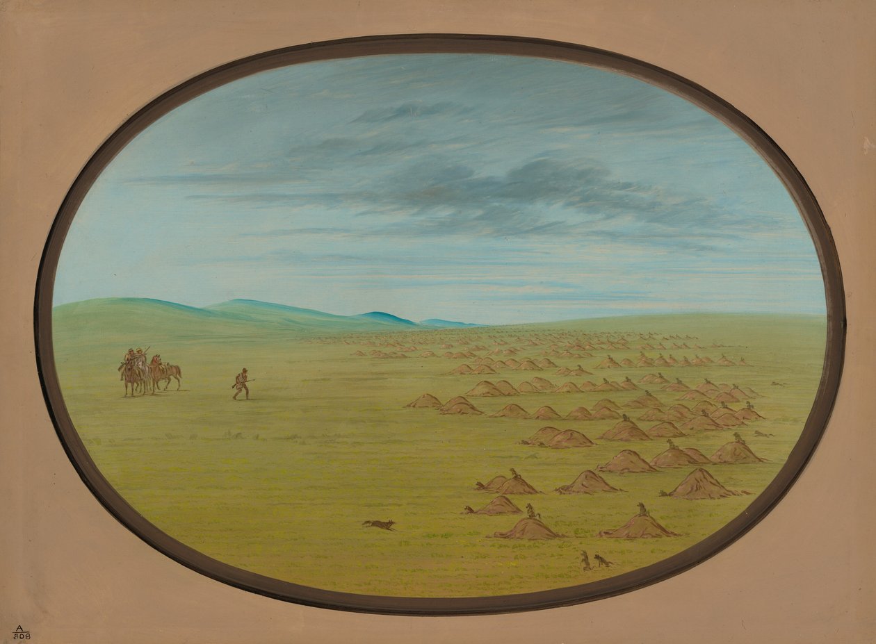 Villaggio di cani della prateria da George Catlin
