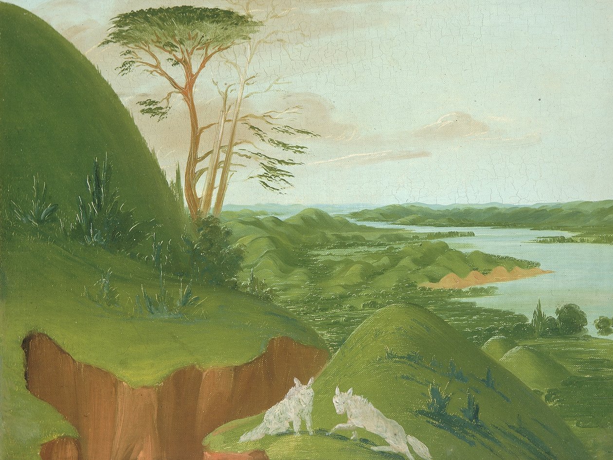Scarpate fluviali con lupi bianchi in primo piano, alto Missouri da George Catlin