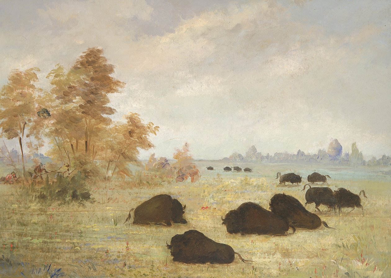 Pedinamento di Buffalo, Arkansas da George Catlin