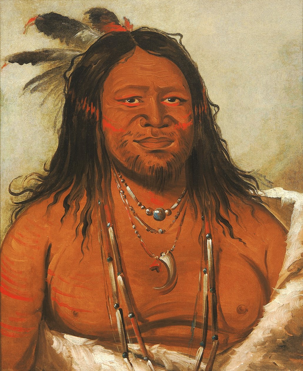 Ta-wáh-que-nah, Montagna di Rocce, Secondo Capo Tribù da George Catlin