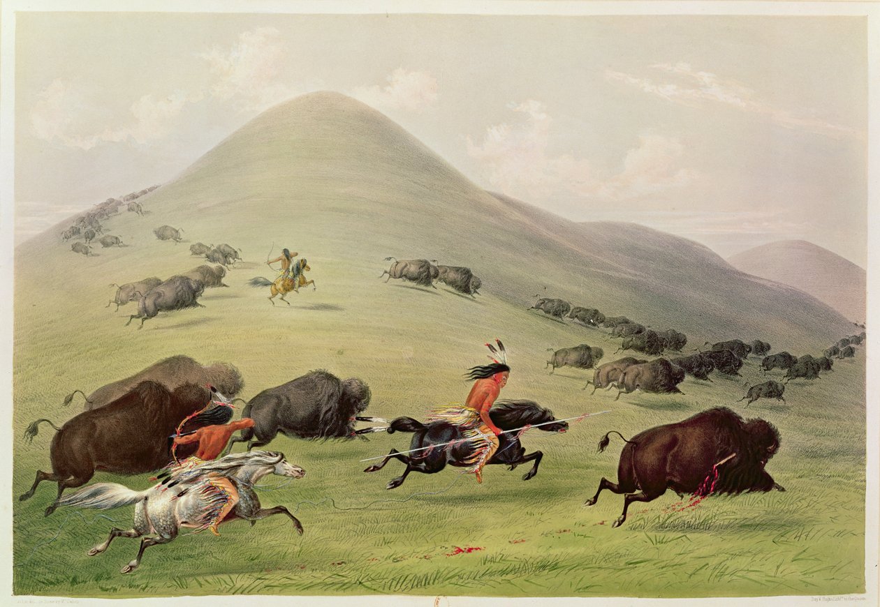 La caccia al bufalo, c.1832 da George Catlin