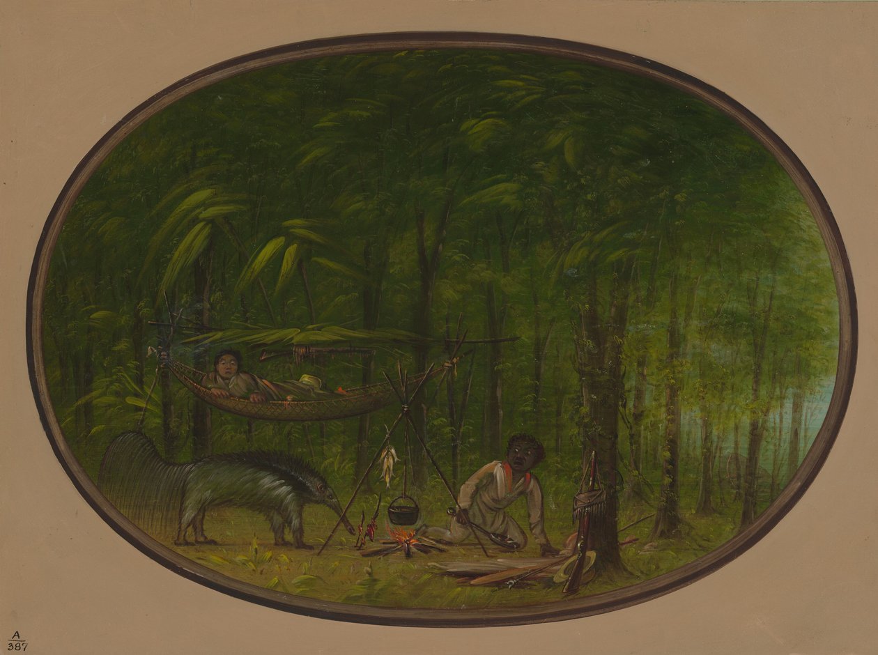 Il Grande Formichiere da George Catlin