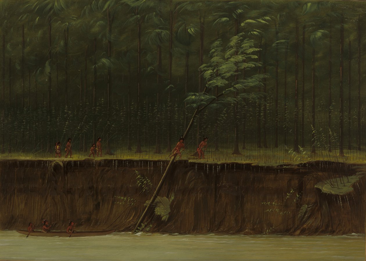 Veduta del Basso Mississippi da George Catlin