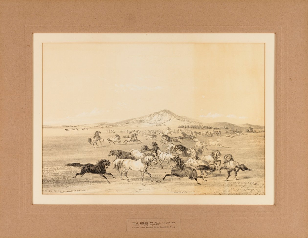 Cavalli selvaggi in gioco - n. 3 da George Catlin