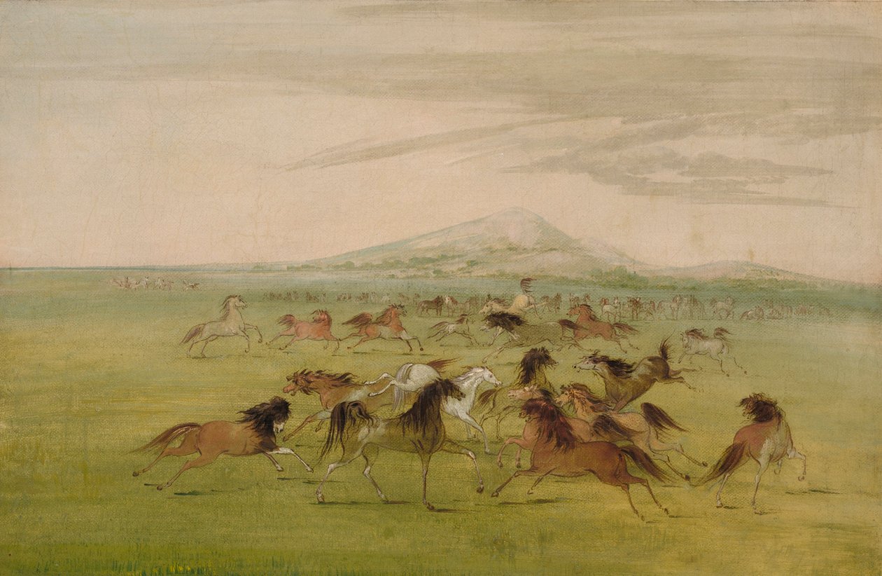Cavalli selvaggi in gioco da George Catlin