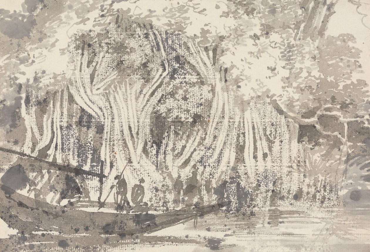 Un Albero Pipul da George Chinnery