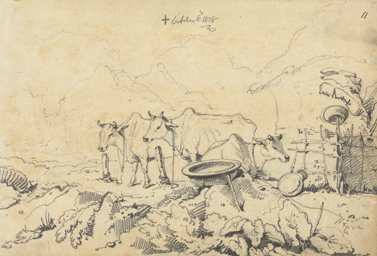 Tre mucche legate da George Chinnery