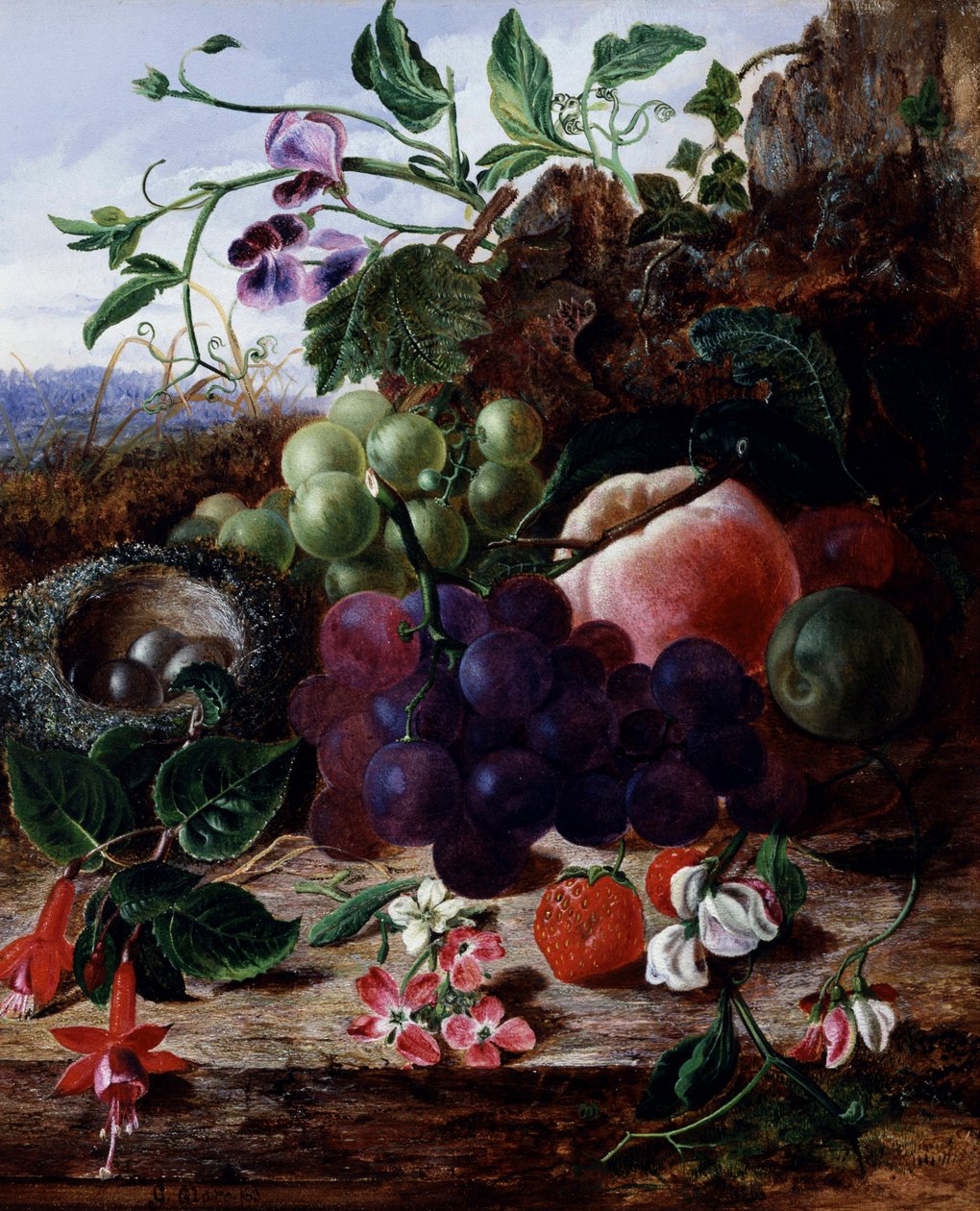 Natura morta di frutta, fuschia e nido di uccelli. Dipinto di George Clare (1835-1899) Collezione privata. da George Clare