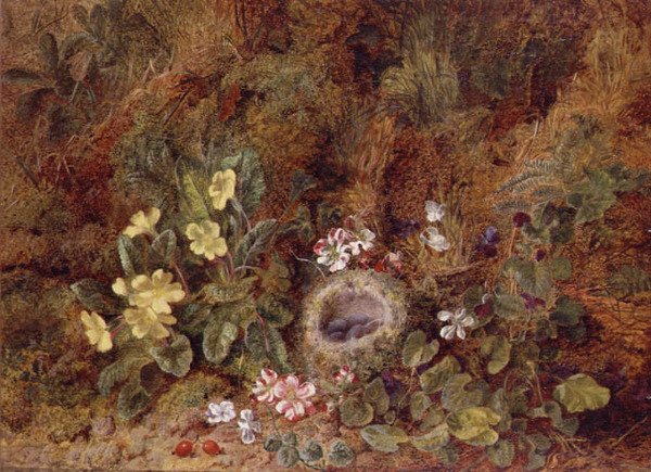 Natura morta con nido di uccelli e fiori selvatici da George Clare