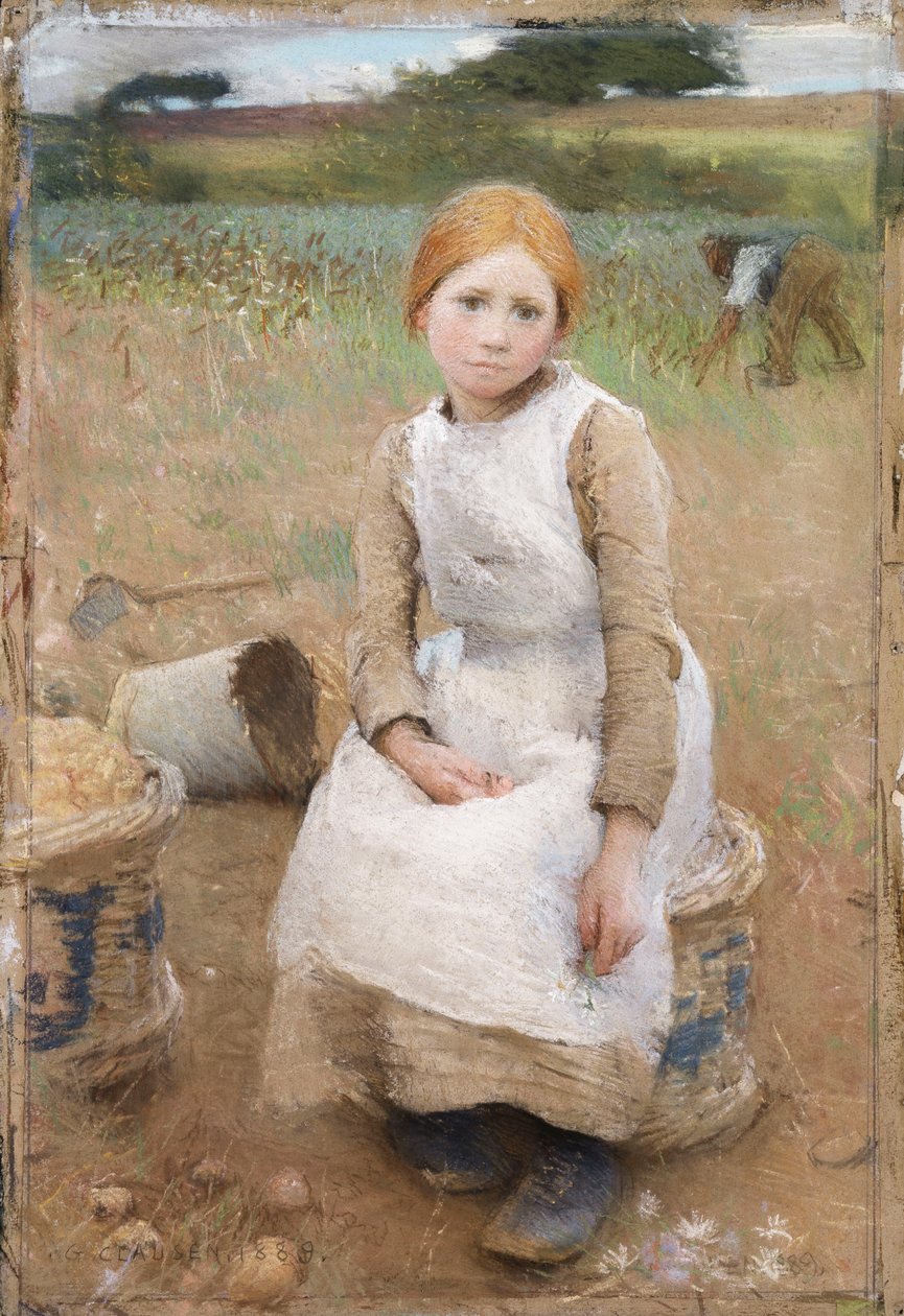 Piccola rosa da George Clausen