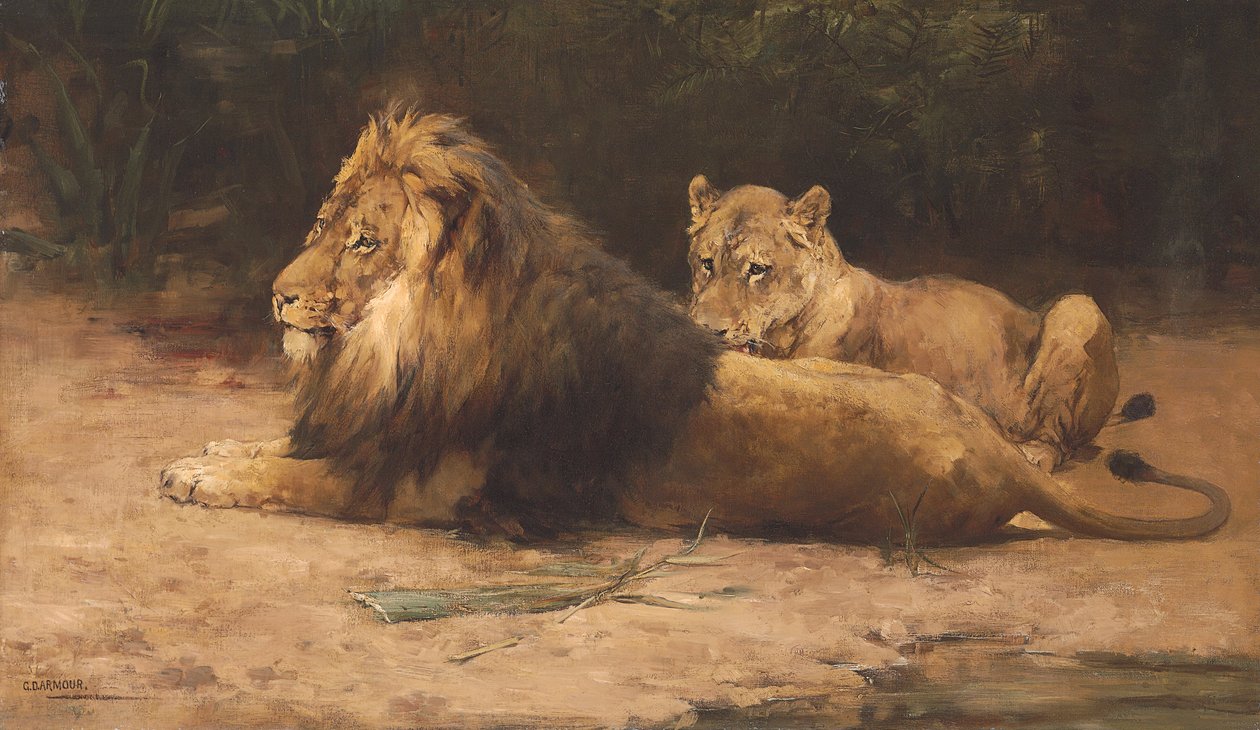 Leone e leonessa a riposo da George Denholm Armour