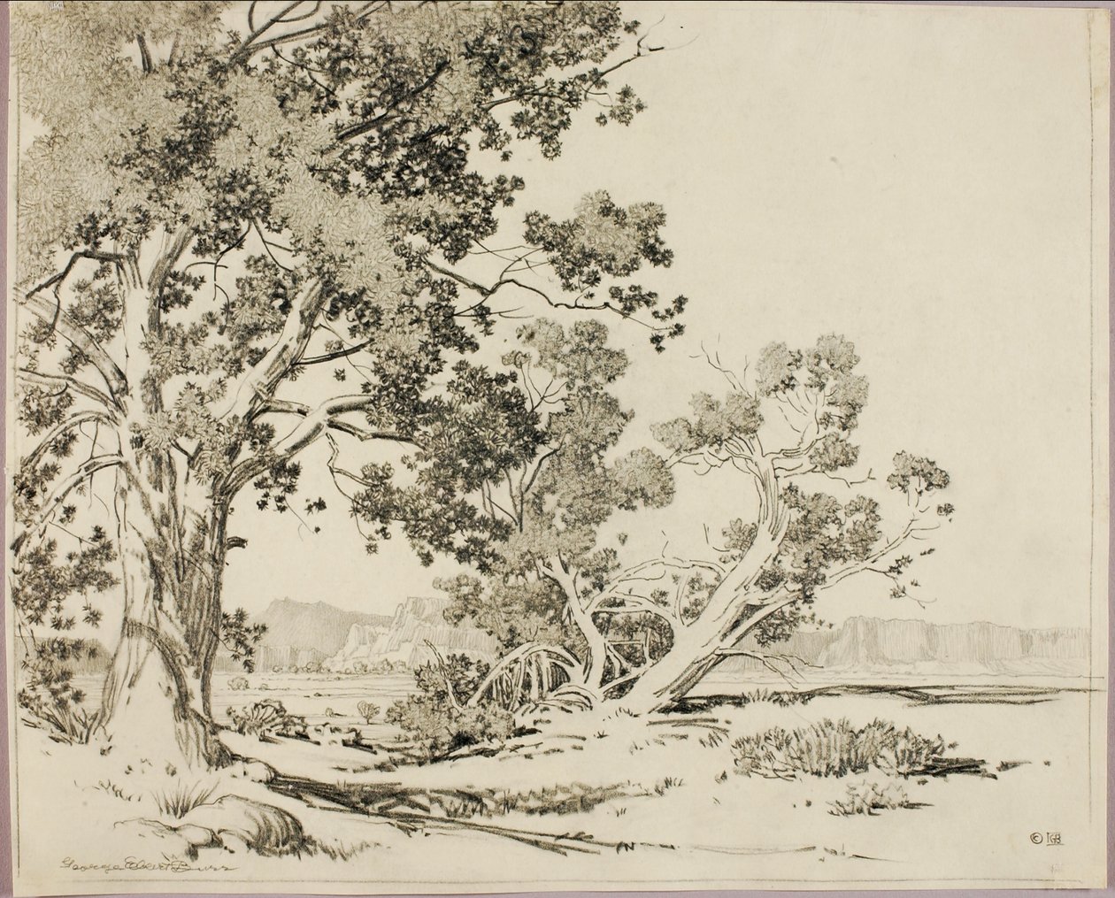 (Senza titolo) da George Elbert Burr