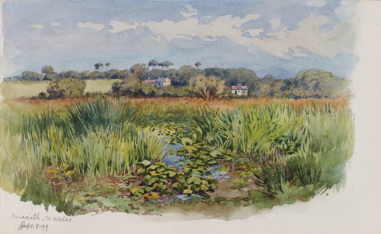 Criccieth, Galles settentrionale da George Elbert Burr