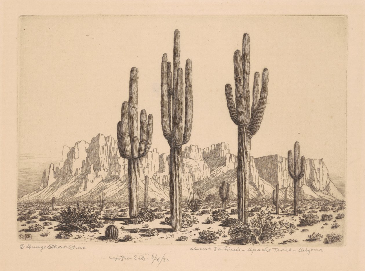Sentinelle del deserto, Apache Trail, Arizona da George Elbert Burr