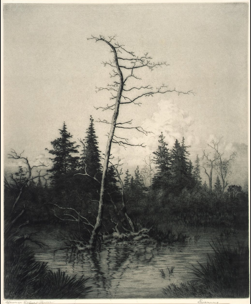 Sera da George Elbert Burr
