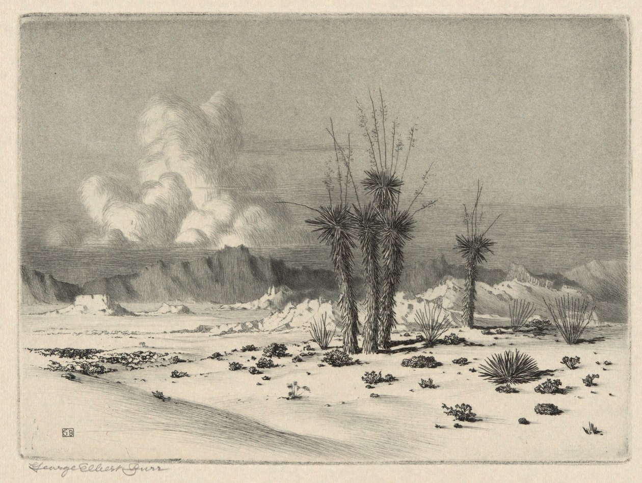 Sera, Arizona da George Elbert Burr
