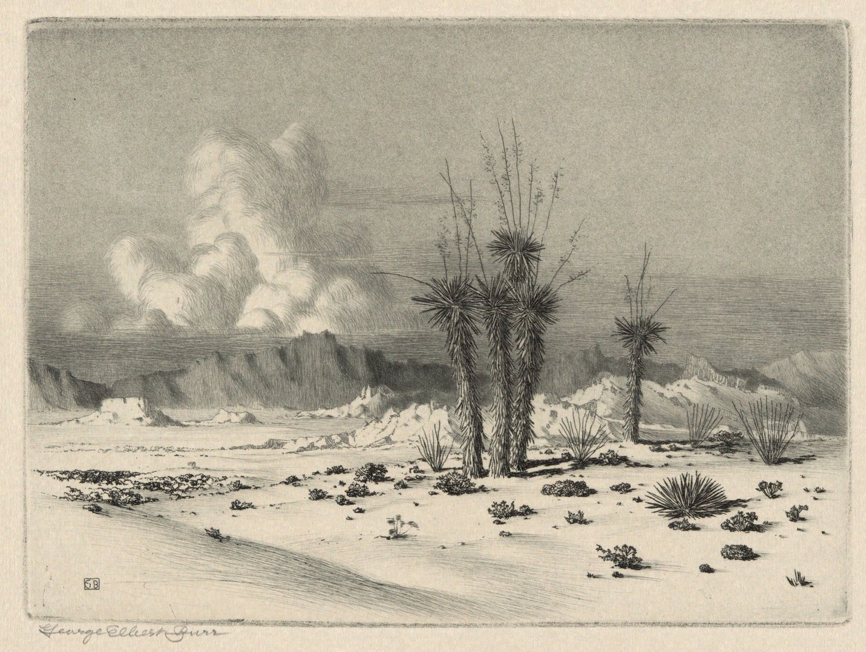 Sera, Arizona da George Elbert Burr