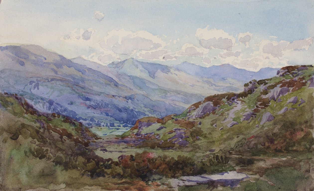 Da sopra Pont-y-Pant, 1899 da George Elbert Burr