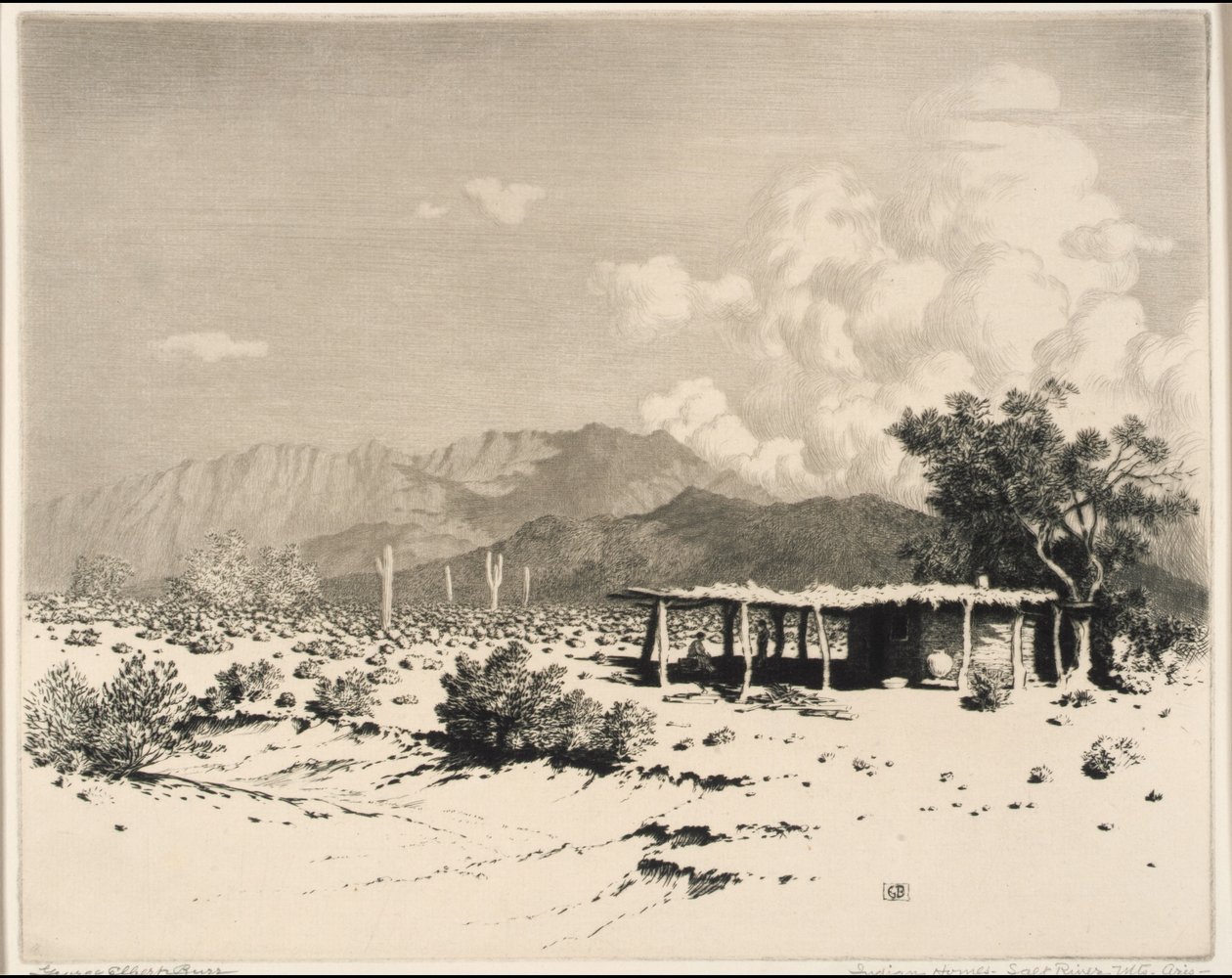 Abitazioni indiane, Salt River Mountains, Arizona da George Elbert Burr