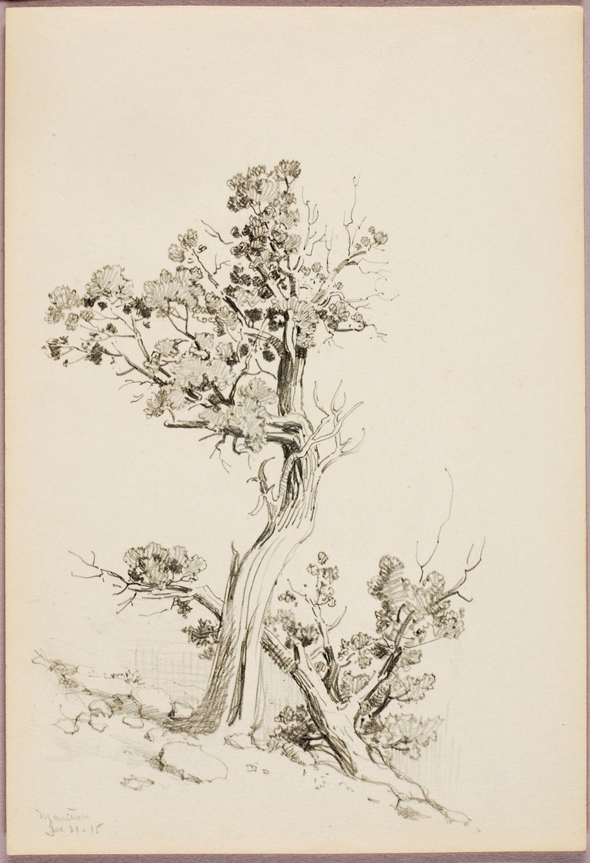 Manitou da George Elbert Burr