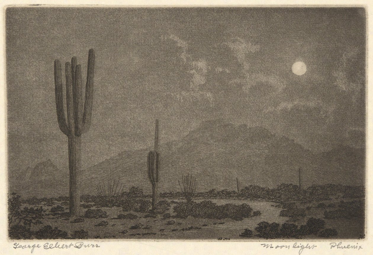 Luce della luna-Fenice da George Elbert Burr