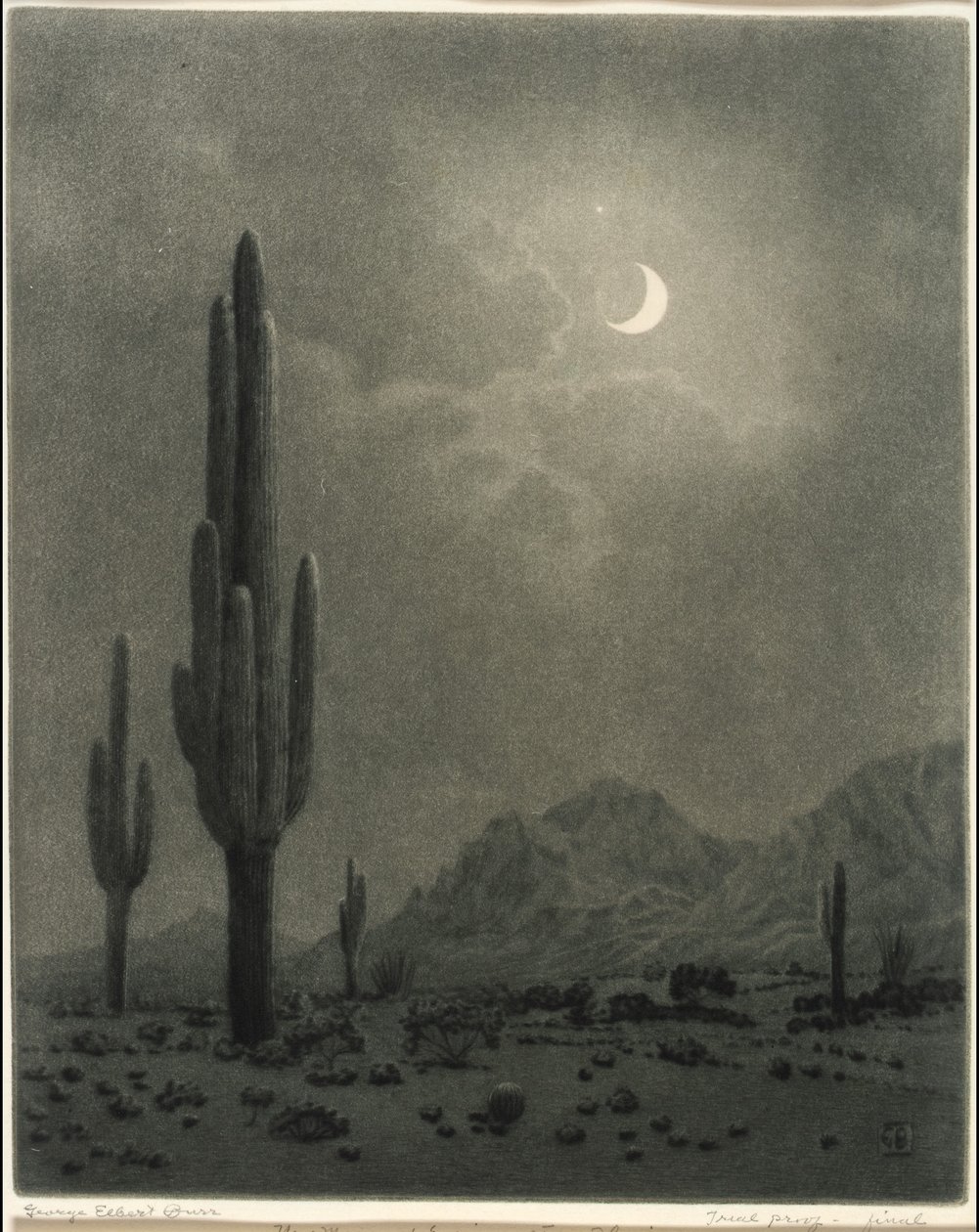 Luna Nuova e Stella della Sera, Phoenix da George Elbert Burr