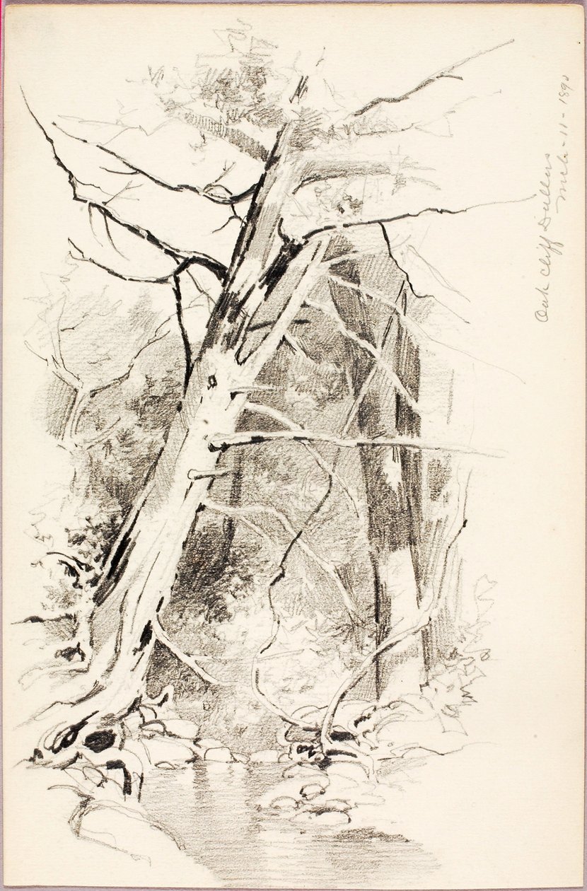 Oak Cliff, Dallas da George Elbert Burr