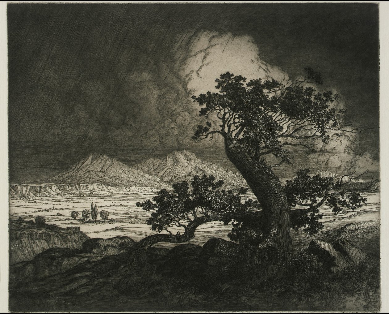 Vecchi cedri e picchi spagnoli da George Elbert Burr