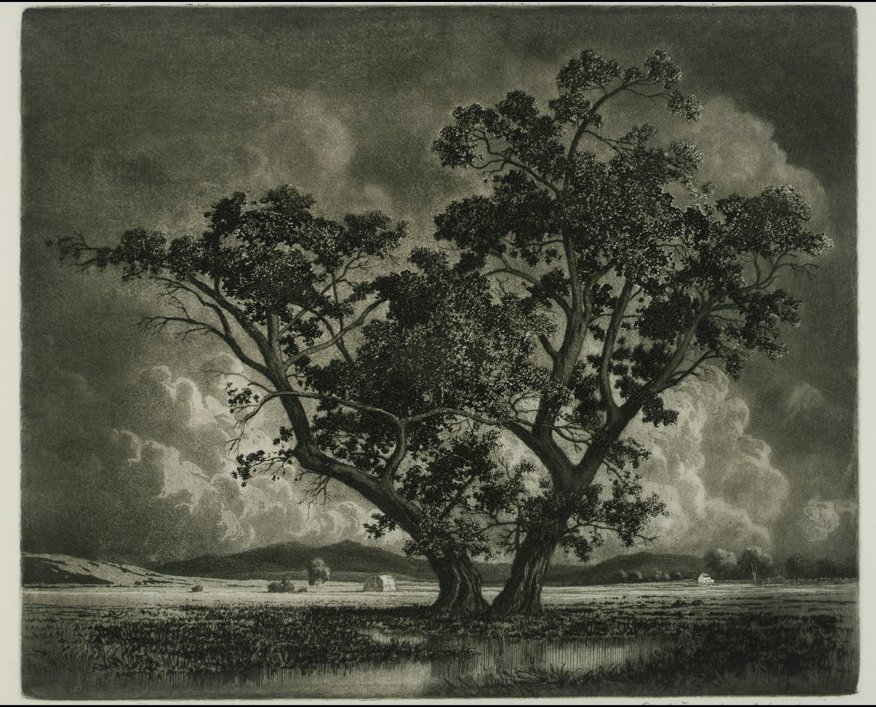 Old Cottonwoods, Colorado da George Elbert Burr