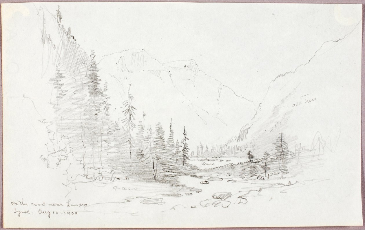 Sulla strada vicino a Landro, in Tirolo da George Elbert Burr