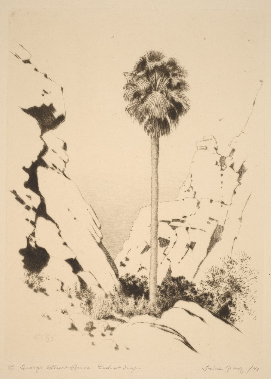 Palm Canyon (n. 1) da George Elbert Burr