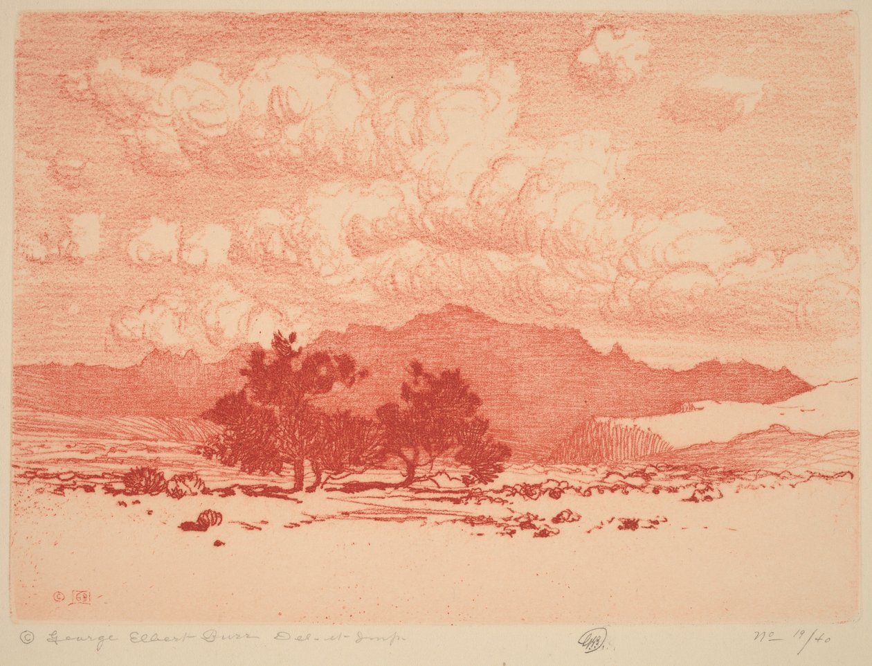 Alberi di palo verde da George Elbert Burr