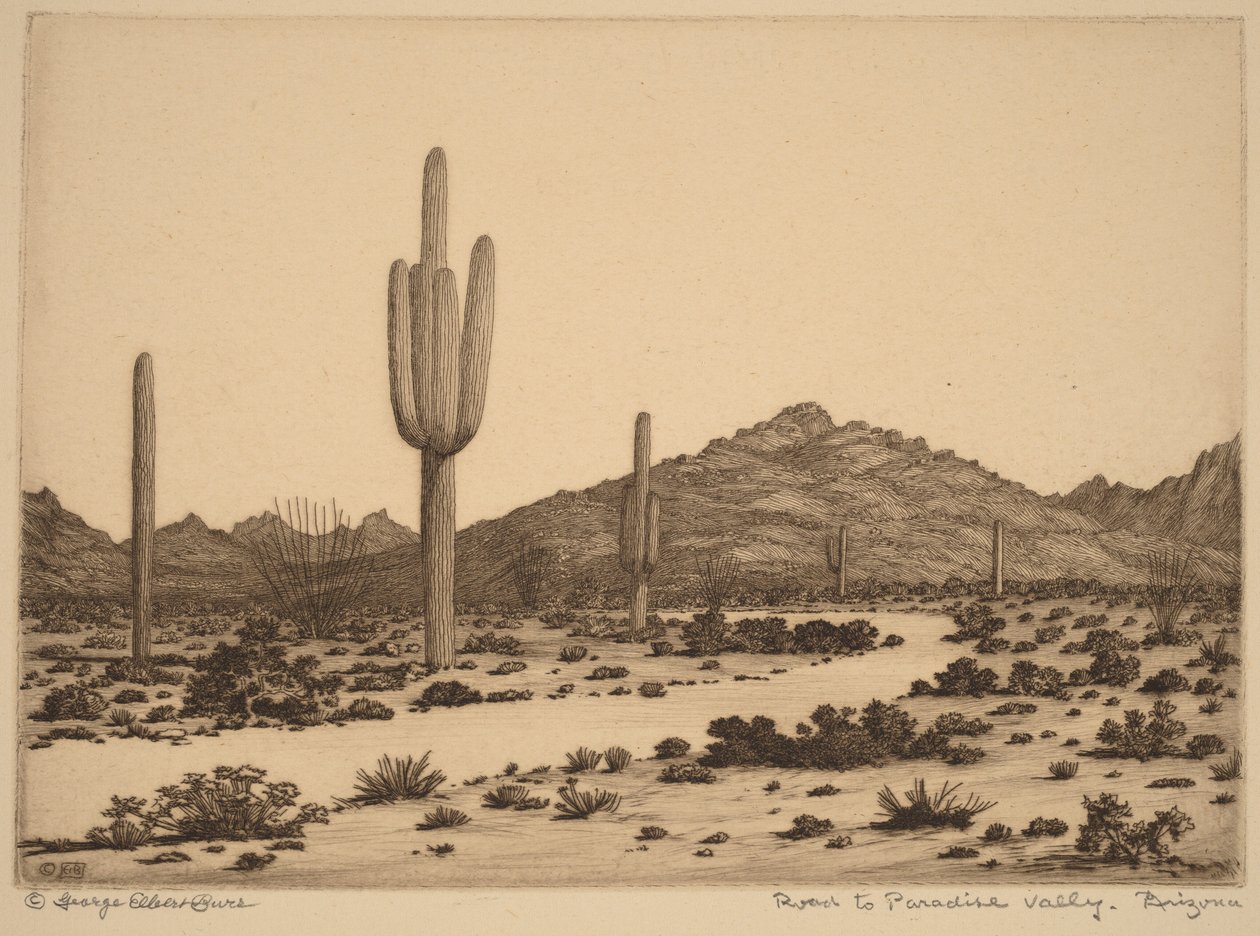 La strada per Paradise Valley, Arizona da George Elbert Burr
