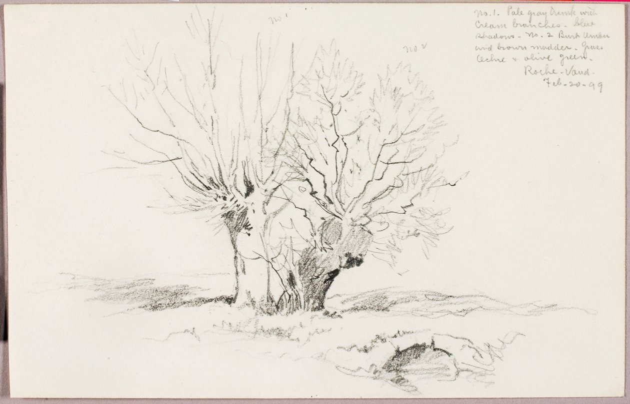Roche Vaud da George Elbert Burr