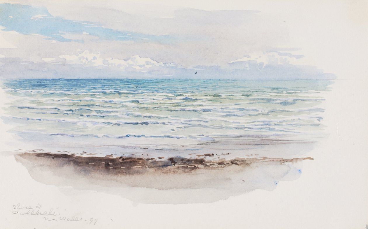 Riva a Pwllheli, Galles del Nord, 1899 da George Elbert Burr