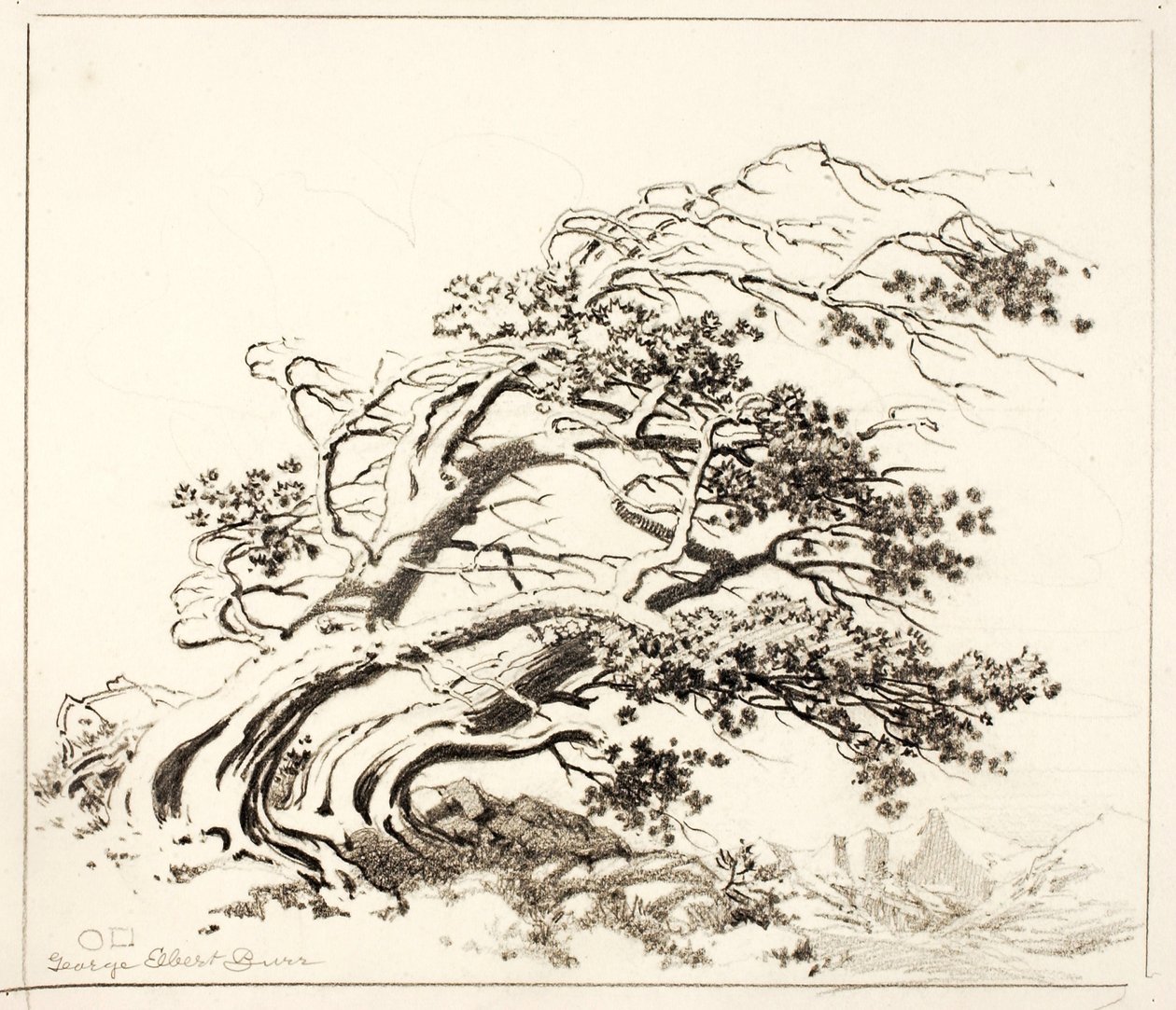 Schizzo per Pini al vento, Estes Park da George Elbert Burr
