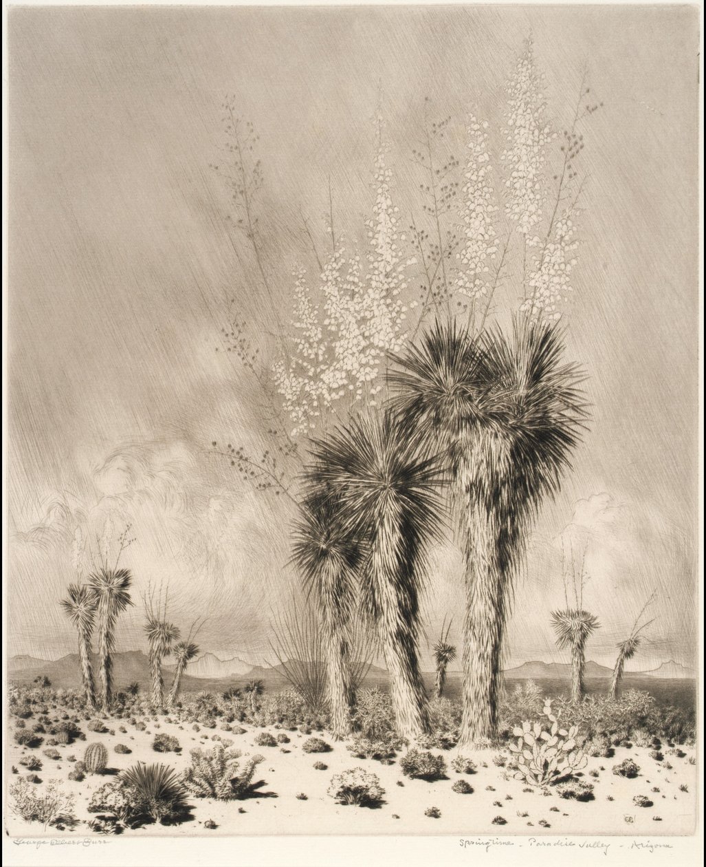 Primavera, Paradise Valley, Arizona da George Elbert Burr