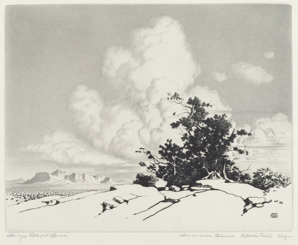 Nuvola estiva, Apache Trail, Arizona da George Elbert Burr