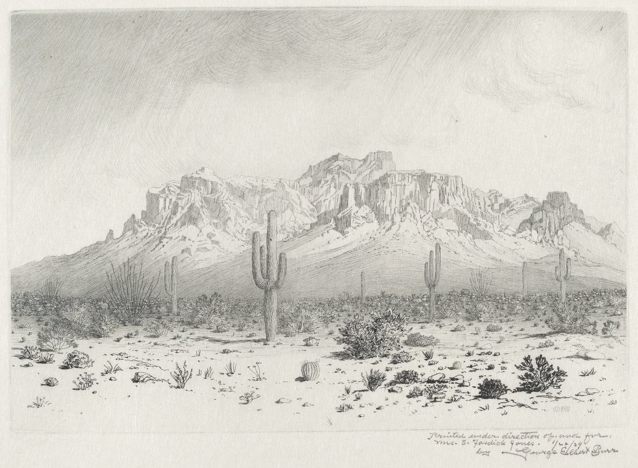 Montagna della Superstizione, Sentiero Apache, Arizona (n.1) da George Elbert Burr