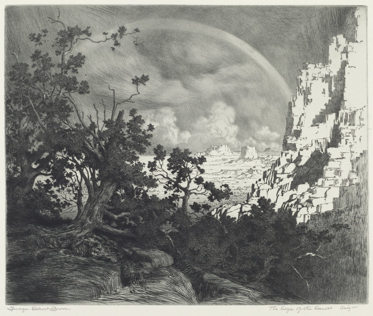 Il bordo del deserto, Arizona da George Elbert Burr
