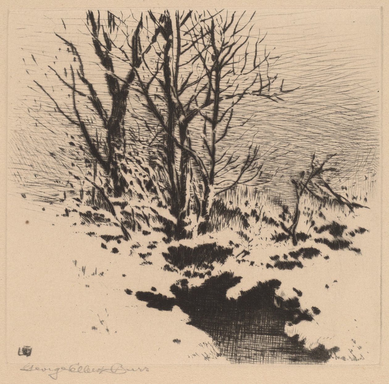 La prima neve (n.2) da George Elbert Burr