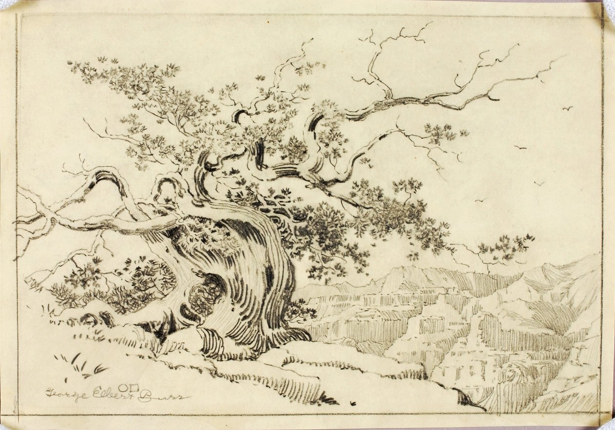 Senza titolo (disegno da trasferimento per Sera, Apache Trail, Arizona) da George Elbert Burr