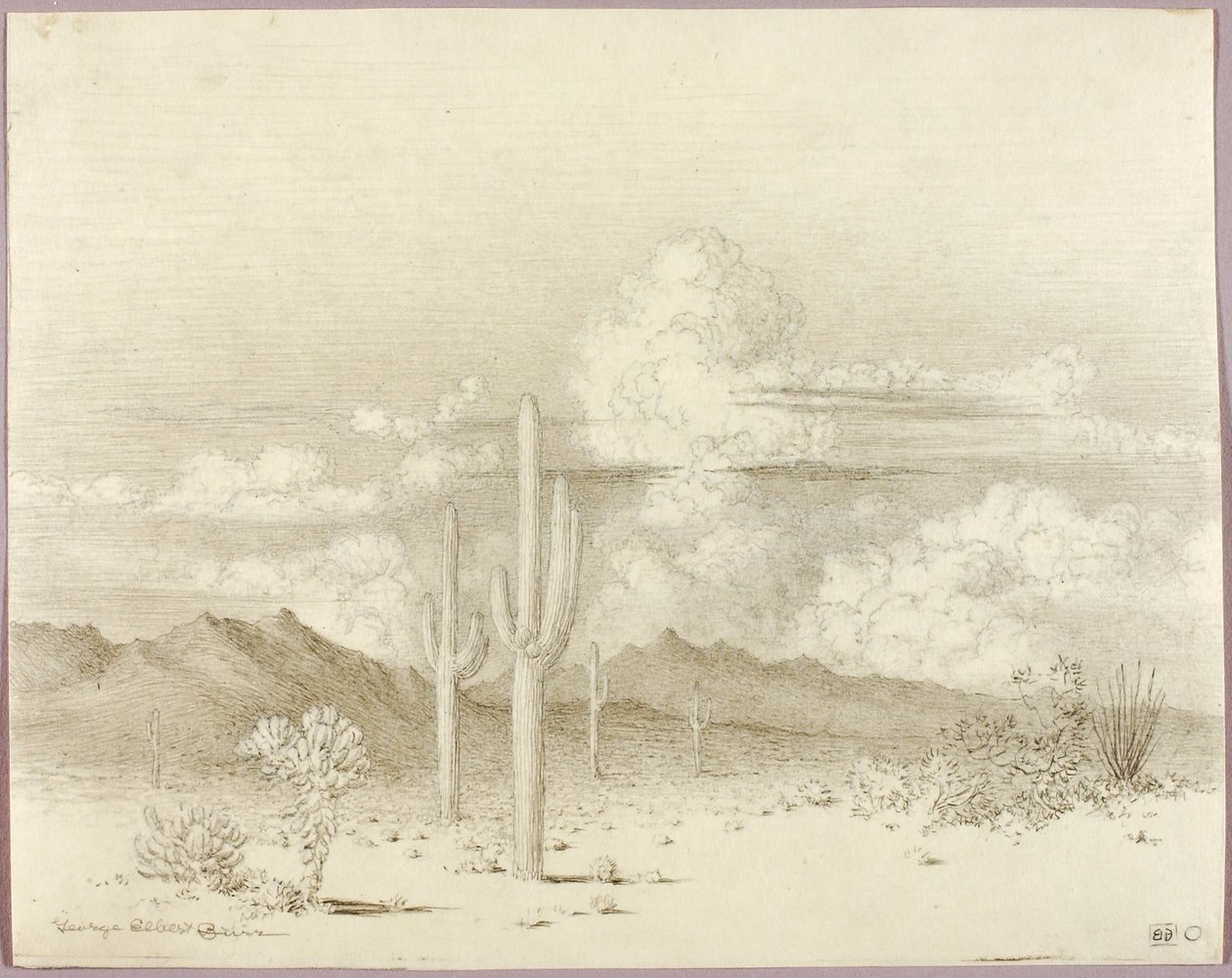 Senza titolo (disegno di trasferimento per Sera, Paradise Valley, Arizona) da George Elbert Burr