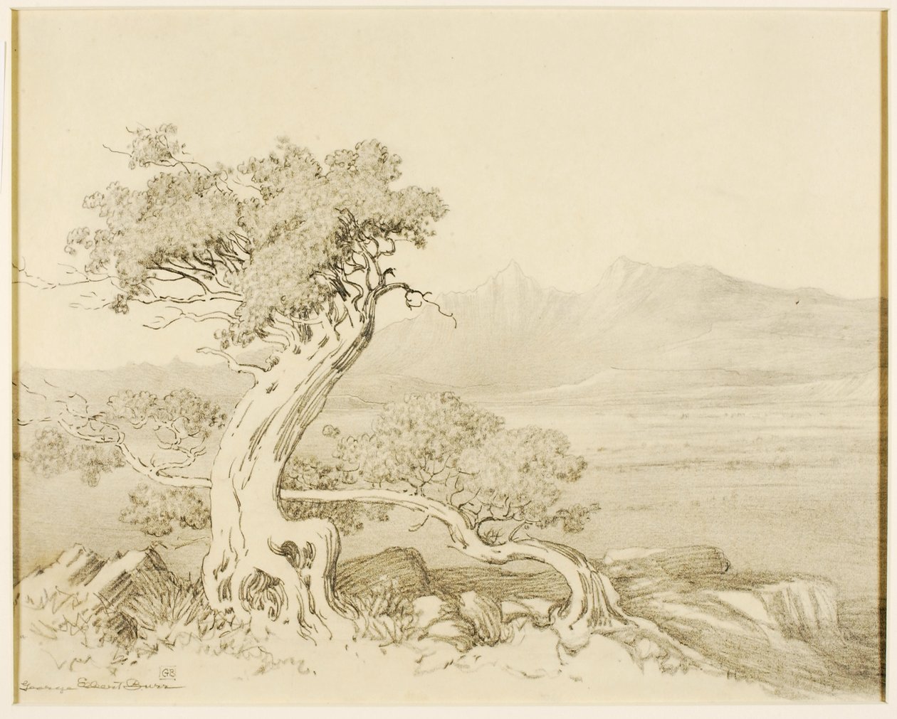 Senza titolo (disegno di trasferimento per Old Cedars e Spanish Peaks) da George Elbert Burr