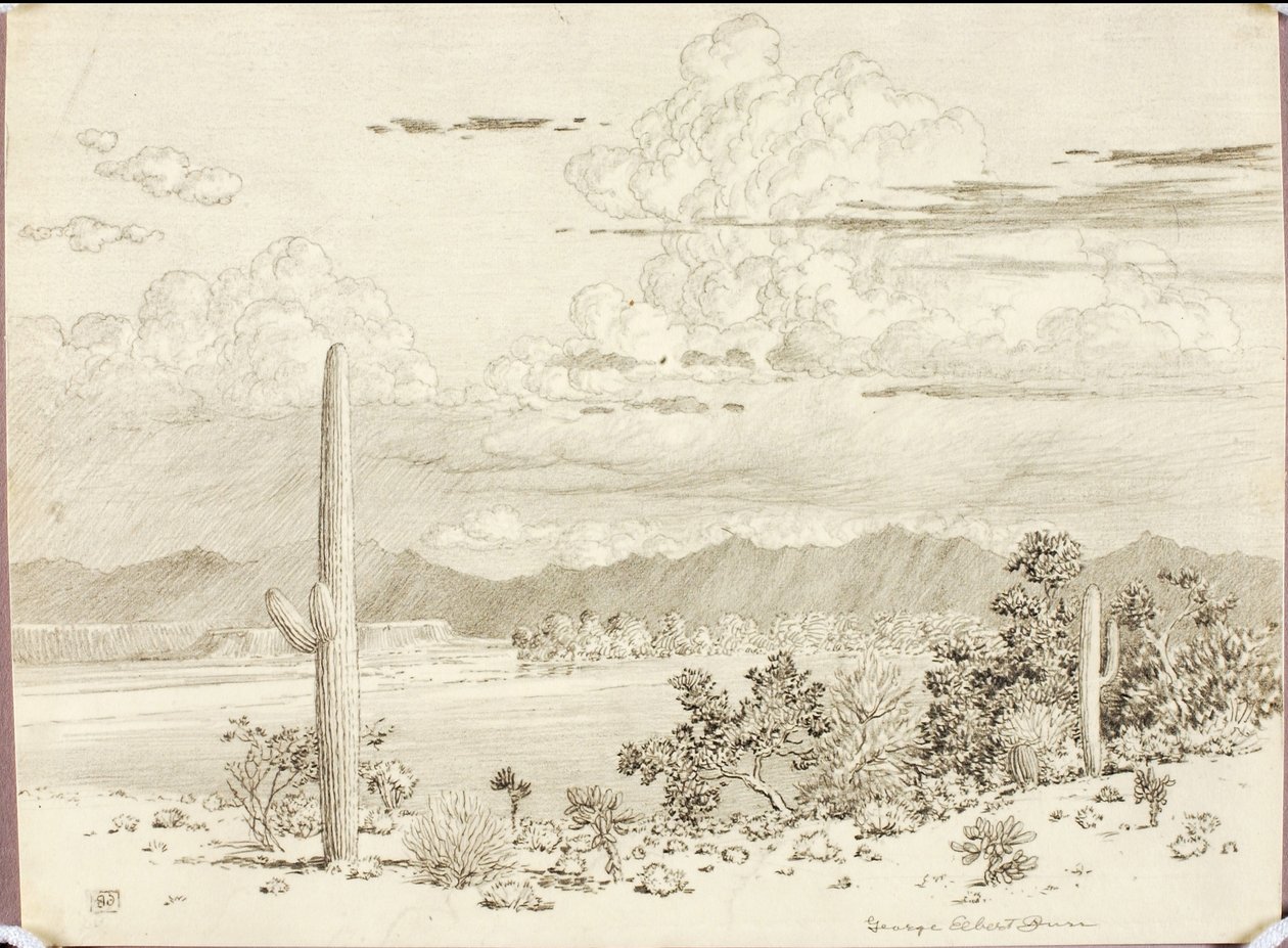 Senza titolo (disegno a trasferimento per il fiume Verde, Riserva Apache, Arizona) da George Elbert Burr