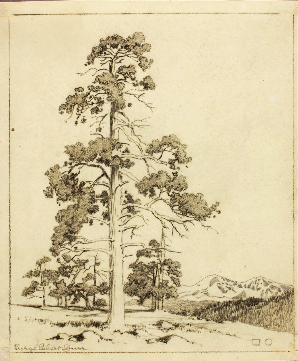 Senza titolo (disegno di trasferimento per stampa) da George Elbert Burr
